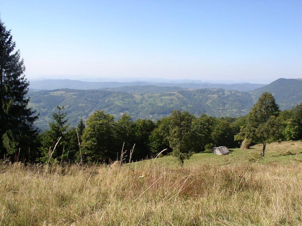 Косівська Поляна з panoramio.com - Kosivska Polyana