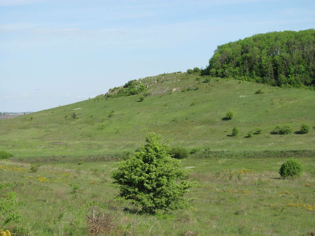 природа - Gorodnytsya