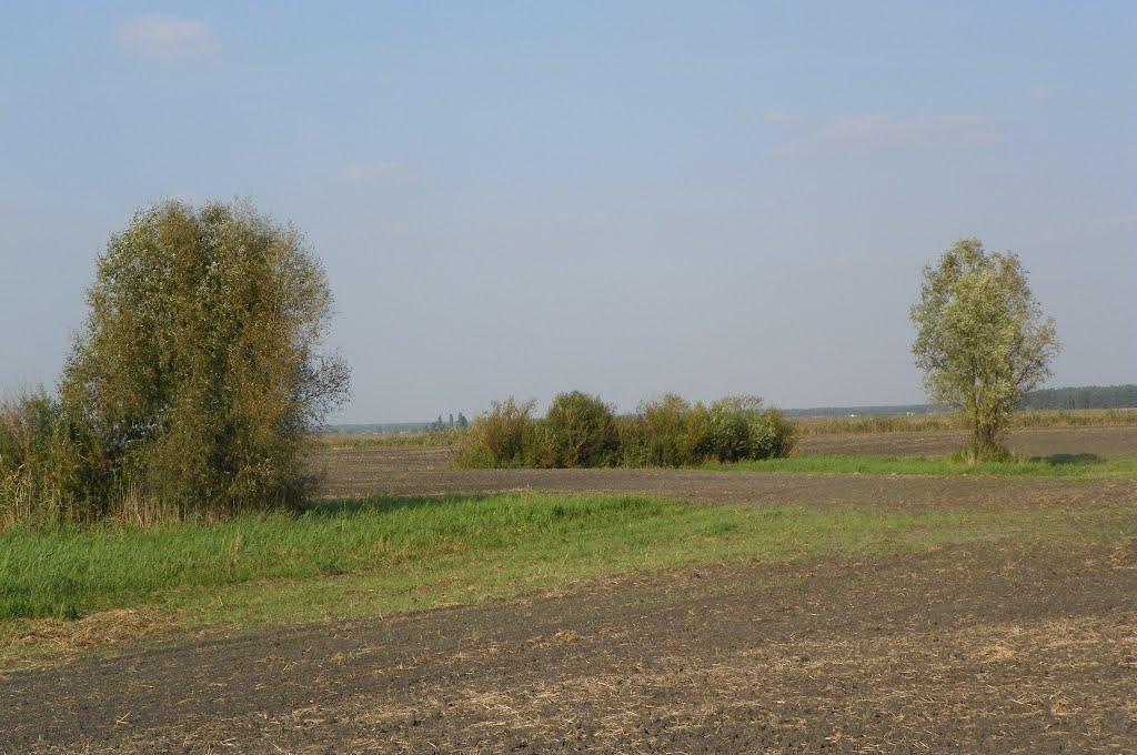 Чехівка з panoramio.com - Чеховка