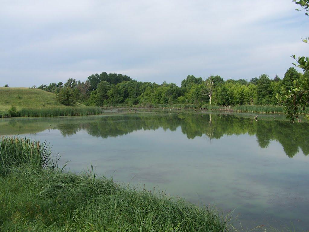 Кошарське з panoramio.com - Kosharske