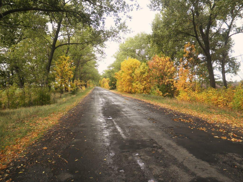 Сасинівка з panoramio.com - Сасинівка