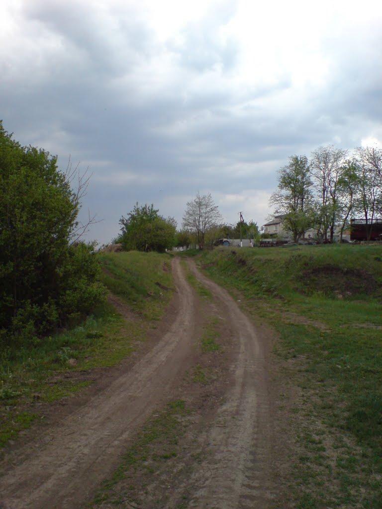 Зарябинка з panoramio.com - Зарябинка