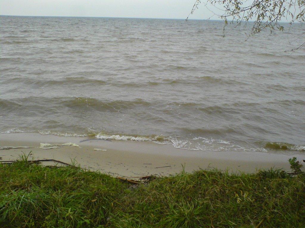 Козаровичі з panoramio.com - Kozarovychi