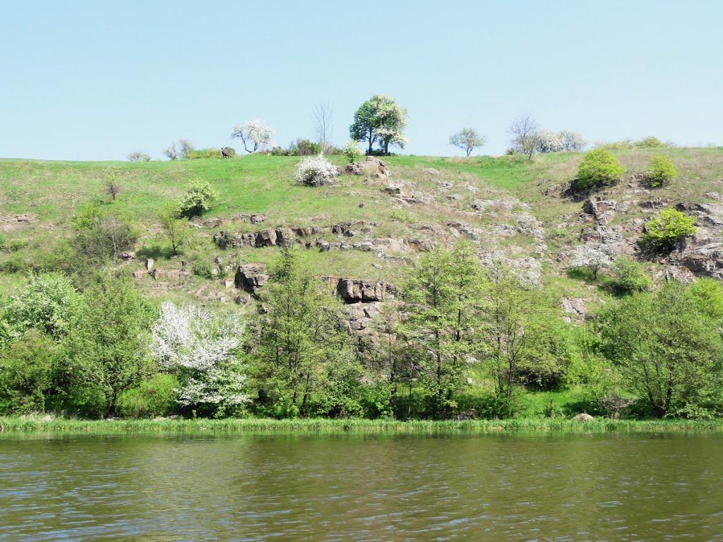 Тиврів з panoramio.com - Тывров