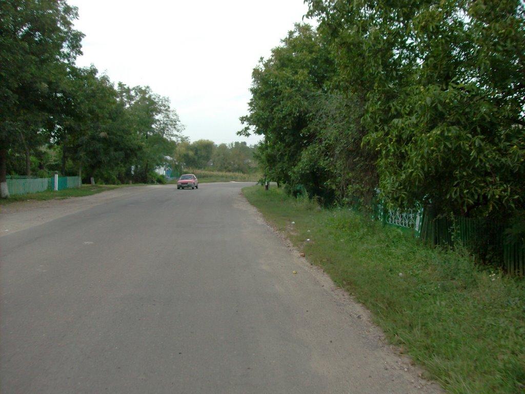 Серебрія з panoramio.com - Серебрія