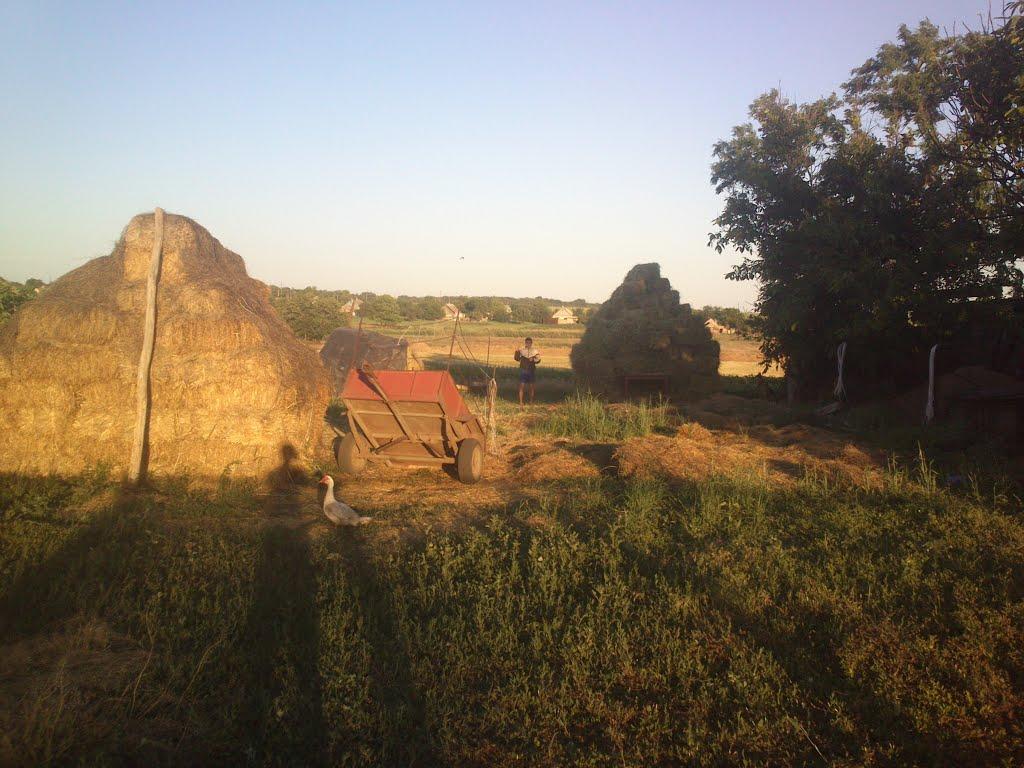 Вячеславка з panoramio.com - Вячеславка