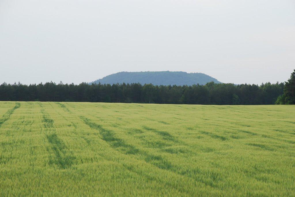 Малі Бережці з panoramio.com - Mali Berezhtsi