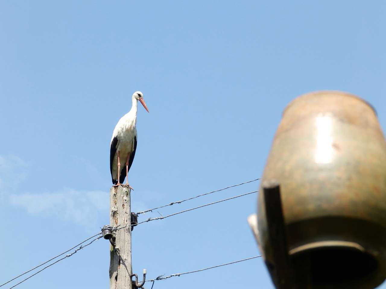 'Ненькина колиска' - Кам'янка