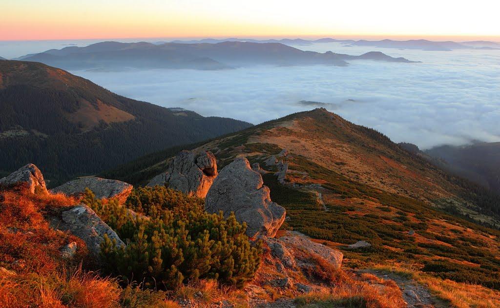 Берестечко з panoramio.com (ч.2) - Berestechko
