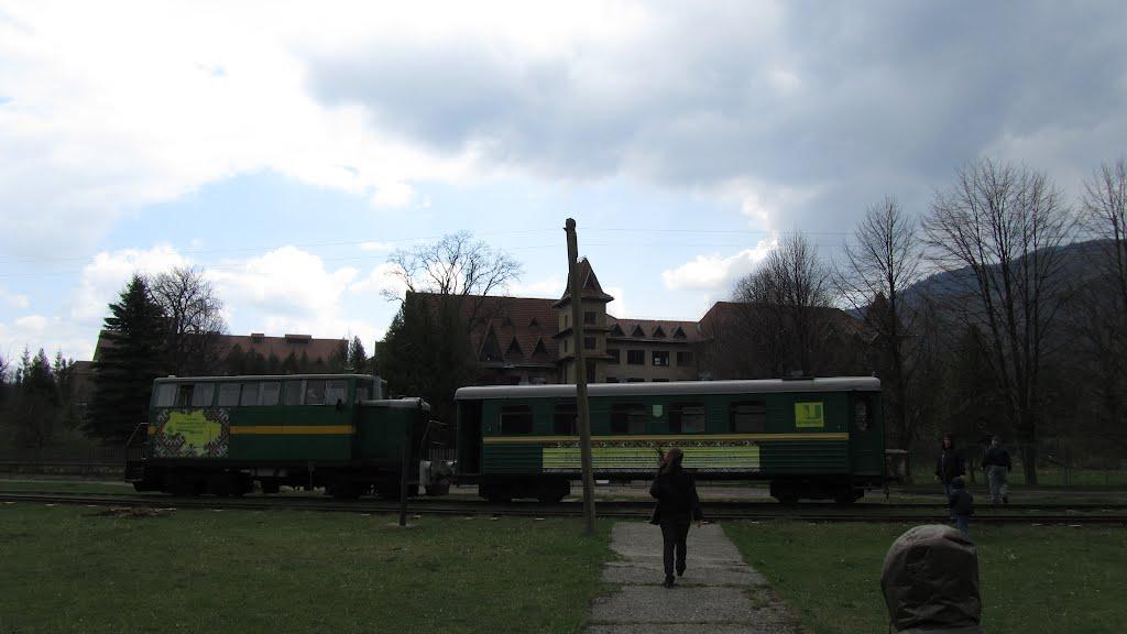 Новий Мізунь з panoramio.com - Новый Мизунь