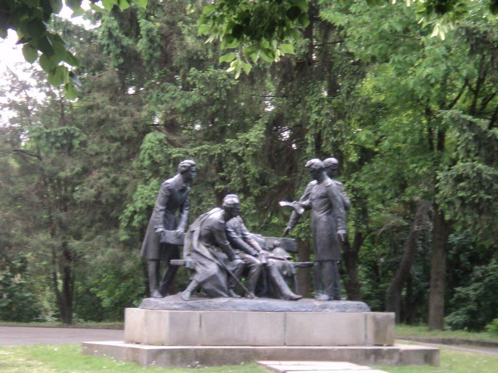 Кам'янка з panoramio.com - Каменка