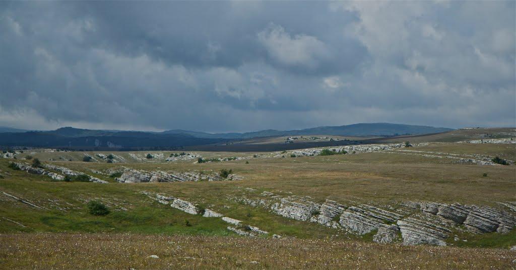 Пчолине з panoramio.com - Pcholyne