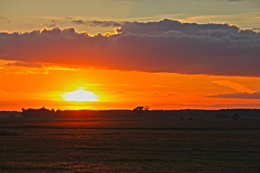 Волошинівка з panoramio.com - Волошинівка