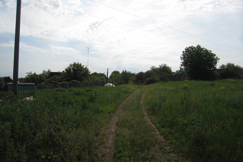 Верхньоторецьке з panoramio.com - Верхньоторецьке