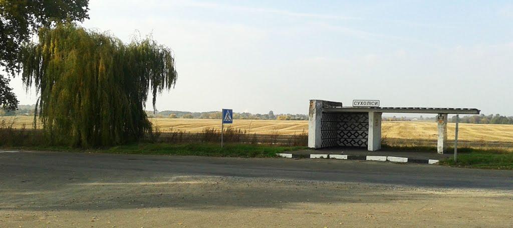 Блощинці з panoramio.com - Bloschyntsi