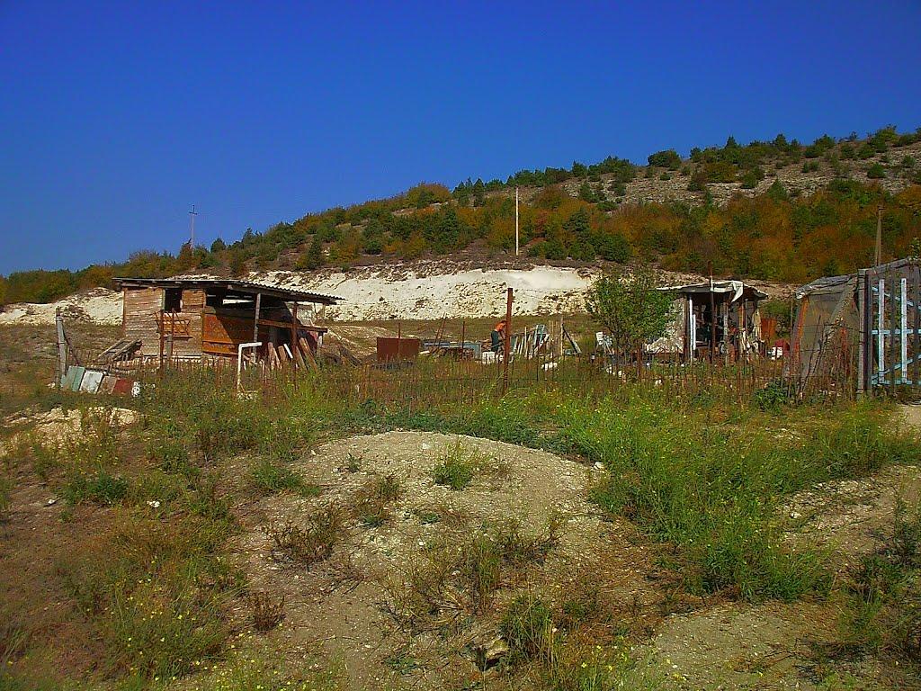Красний Мак з panoramio.com - Красный Мак
