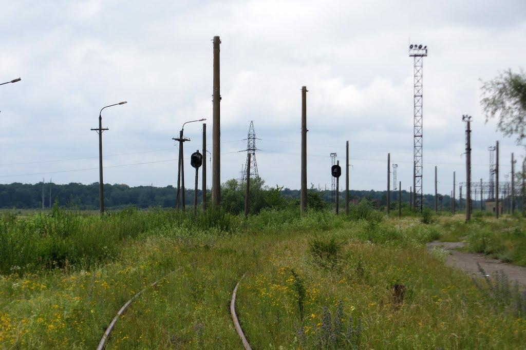 Дем'янка-Наддністрянська з panoramio.com - Демянка-Надднестрянская