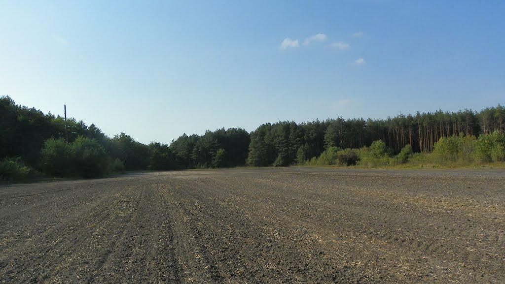 Чехівка з panoramio.com - Чехівка