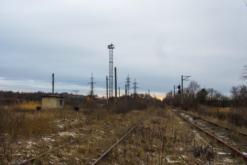 Дем'янка-Наддністрянська з panoramio.com - Демянка-Надднестрянская
