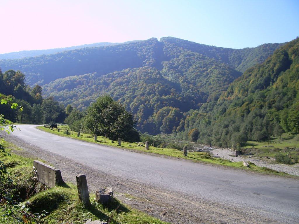 Вільшани з panoramio.com - Ольшаны