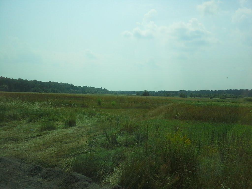 Гайове з panoramio.com - Гайове