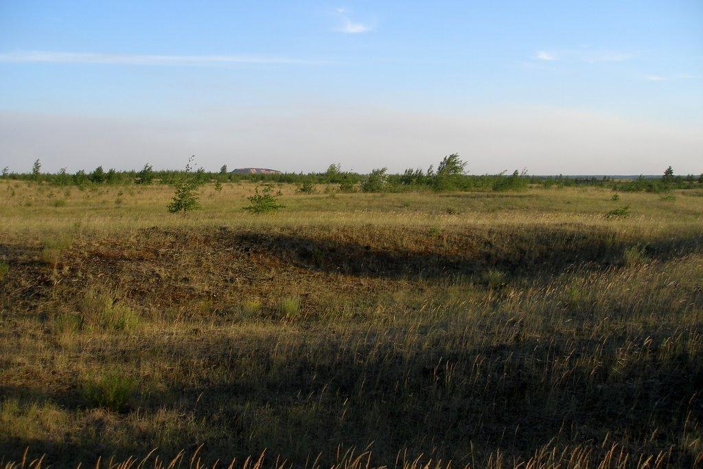 Кремінна з panoramio.com - Кремінна