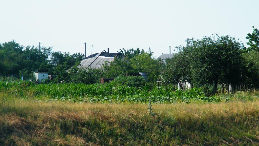 Погреби з panoramio.com - Погреби