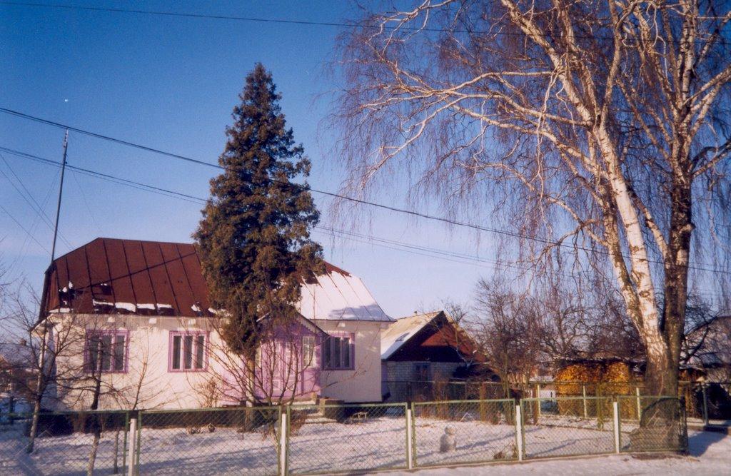 Любомль з panoramio.com - Lyuboml