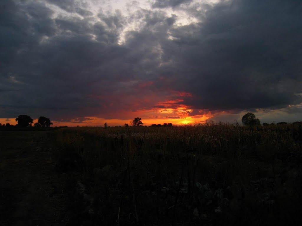 Салтикова Дівиця з panoramio.com - Салтикова Дівиця