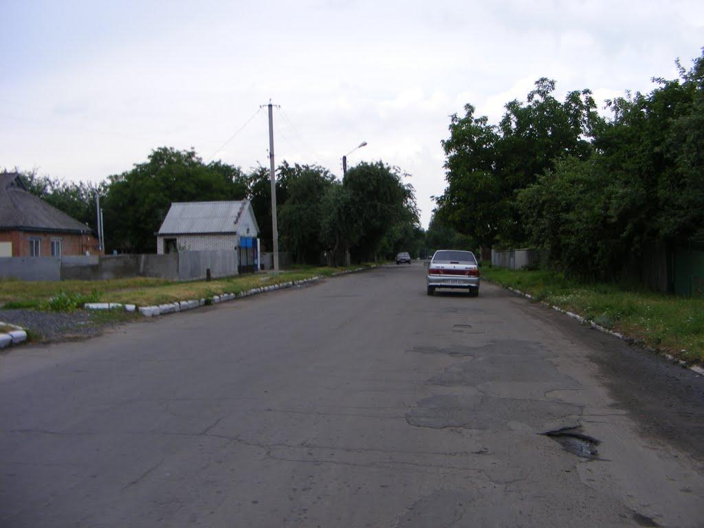Шишаки з panoramio.com - Shishaki