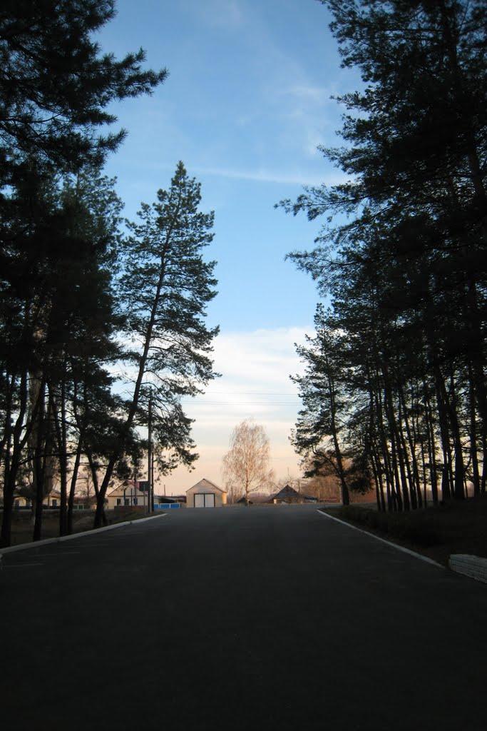Новопсков з panoramio.com - Novopskov
