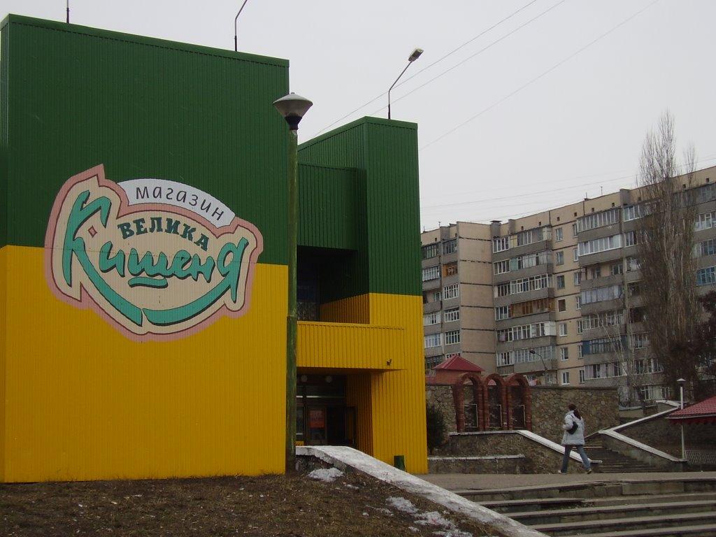 Обухів з panoramio.com - Обухов