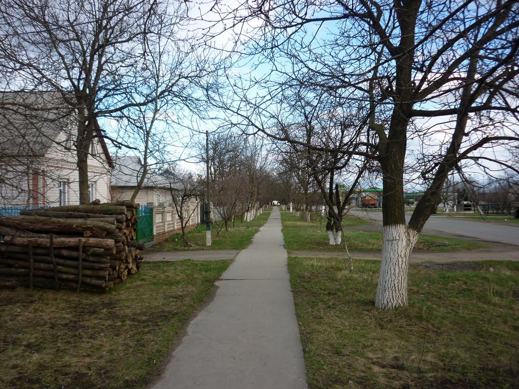 Бершадь з panoramio.com - Бершадь