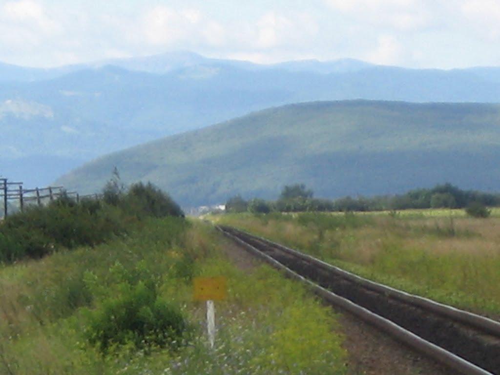 Цуцилів з panoramio.com - Цуцилів