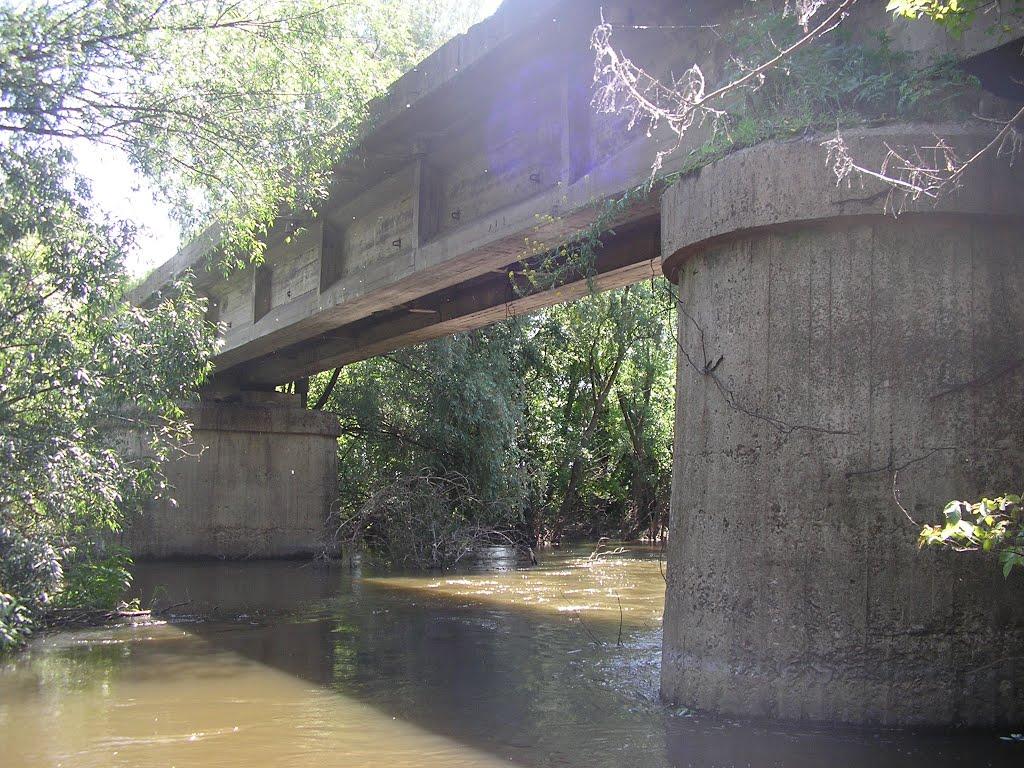 Новий Стародуб з panoramio.com - Новий Стародуб