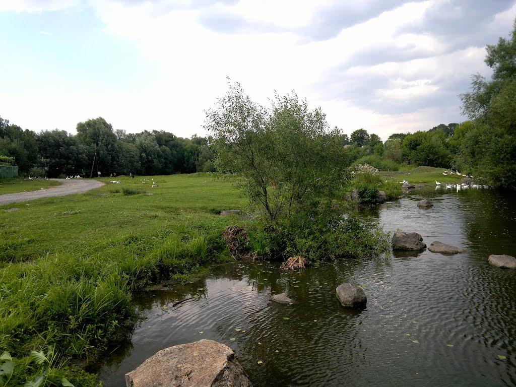 Ладиги з panoramio.com - Ладиги