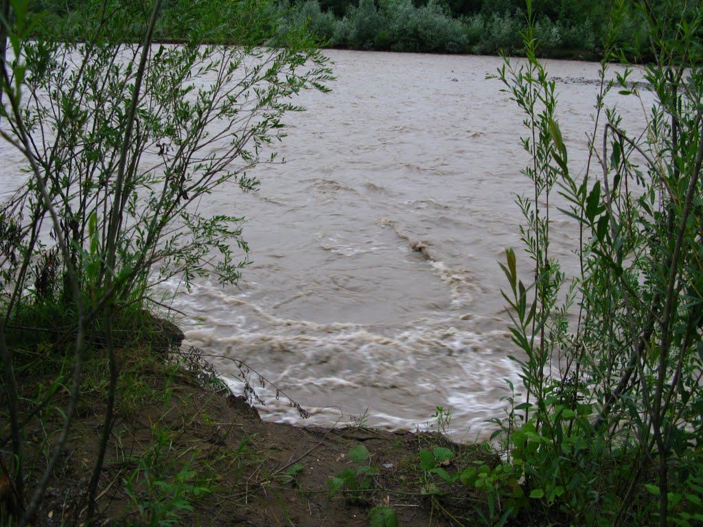 Старі Богородчани з panoramio.com - Старі Богородчани
