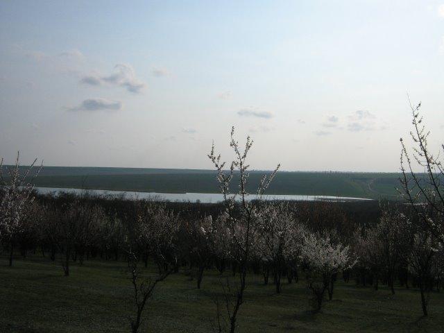 Дмитрівка з panoramio.com - Dmytrivka