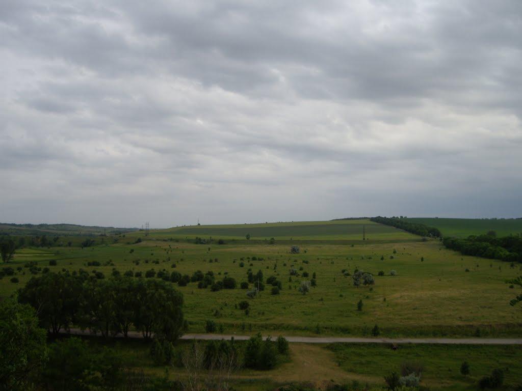 Велика Скельова з panoramio.com - Велика Скельова