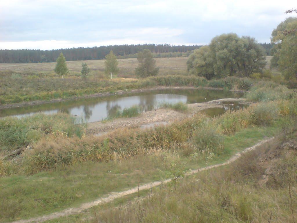 Вишняки з panoramio.com - Вишняки