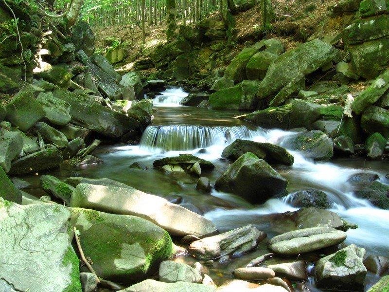 Тур'я Поляна з panoramio.com - Турья Поляна