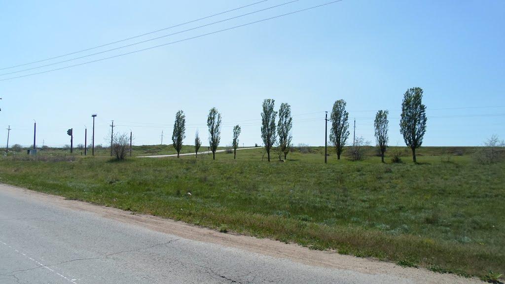 Кучурган з panoramio.com - Кучурган