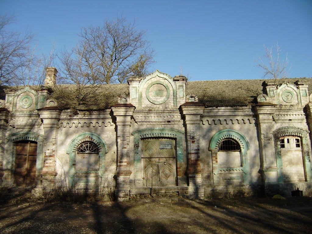 Цвітуще з panoramio.com - Цветущее