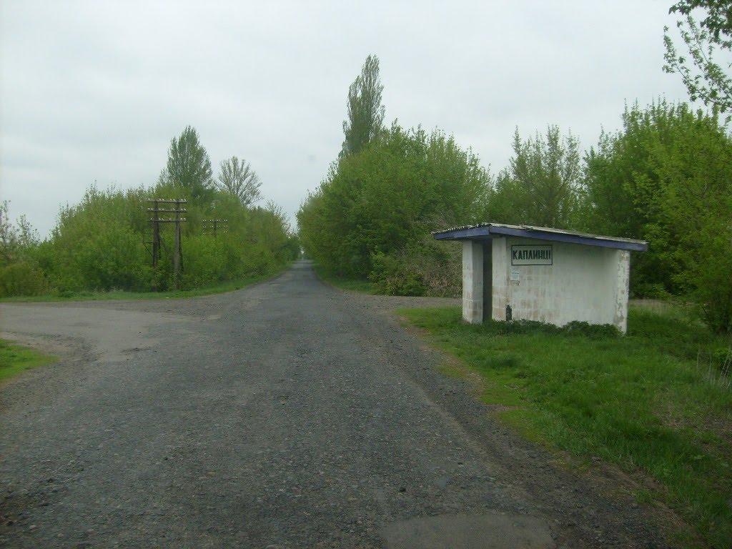 Каплинці з panoramio.com - Каплинці
