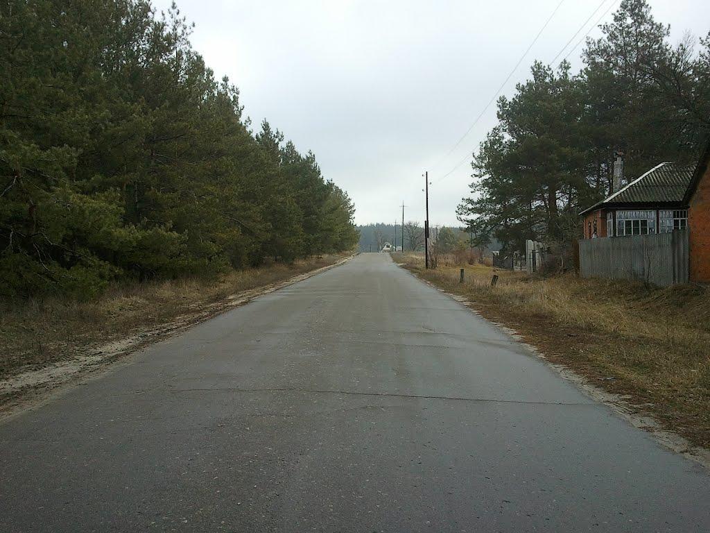 Тросне з panoramio.com - Trosne