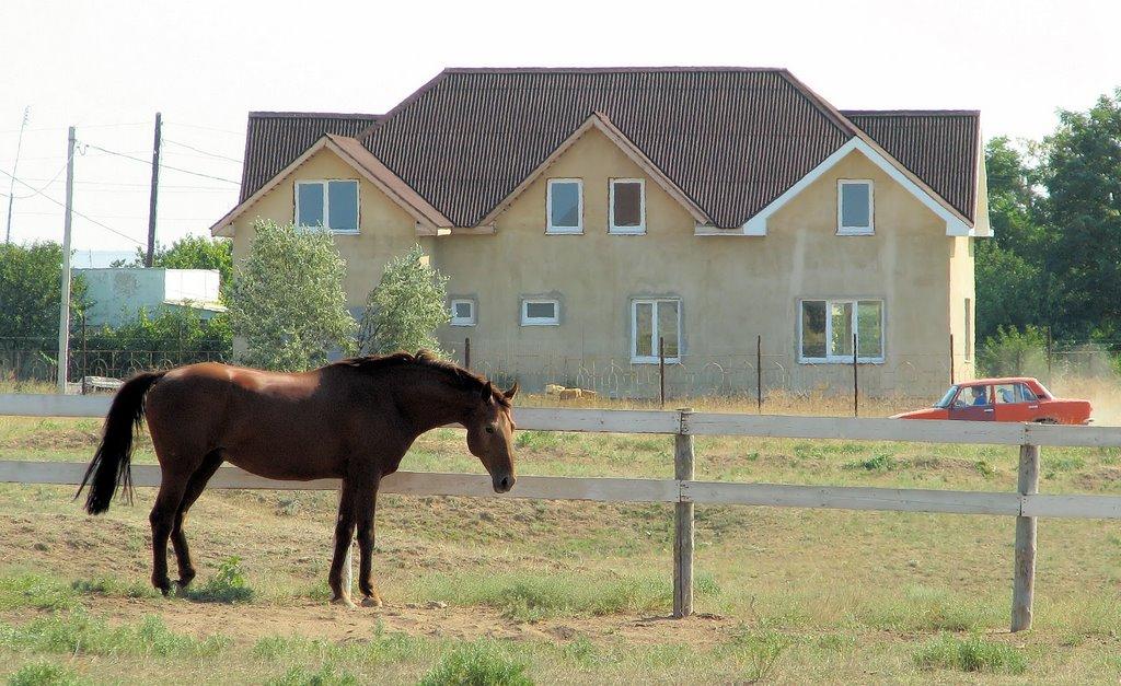 Окунівка з panoramio.com - Окуневка