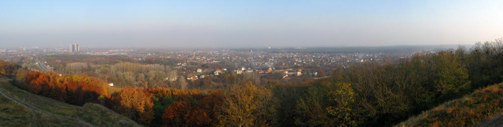 Лісники з panoramio.com - Лісники