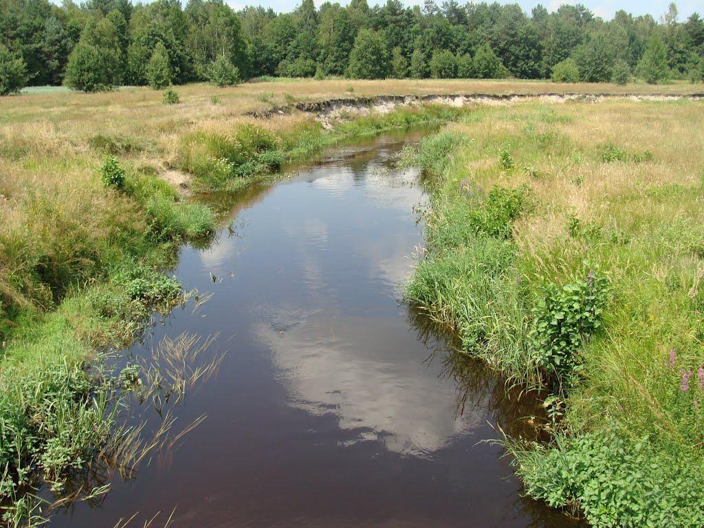 Річки з panoramio.com - Річки