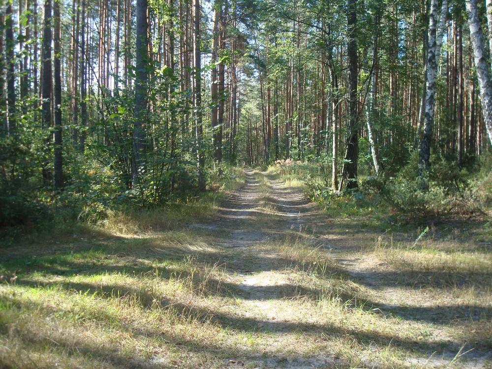 Бондарня з panoramio.com - Бондарня