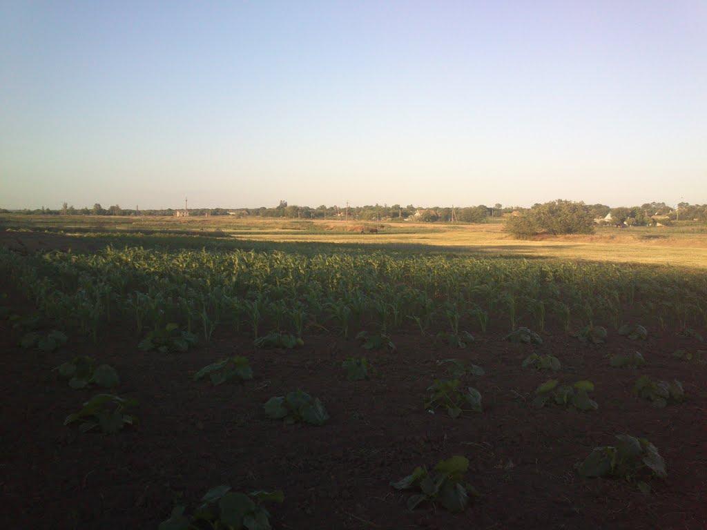 Вячеславка з panoramio.com - Вячеславка